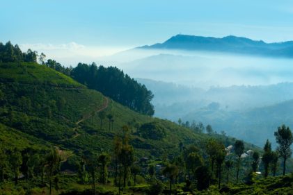 nuwara-eliya-small