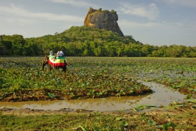 Sigiriya the base of the rock fortress and